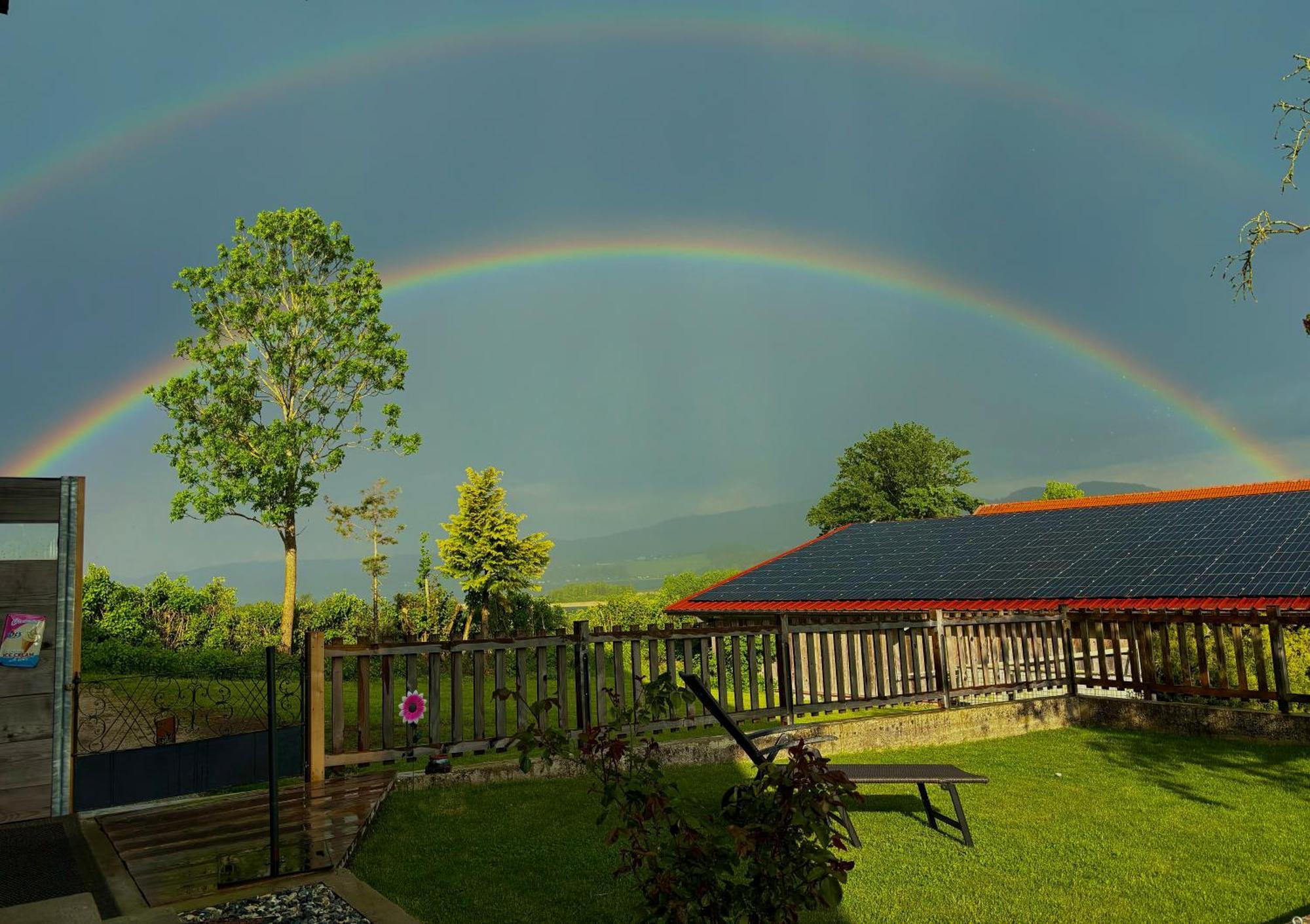 Gaesthaus "Seeblick" Seekirchen am Wallersee Eksteriør bilde